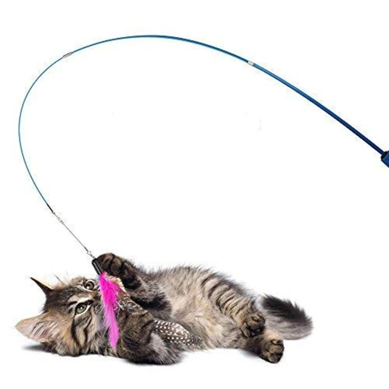 FlexiWand